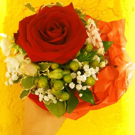 Ξενοδοχείο Arheilger Hof